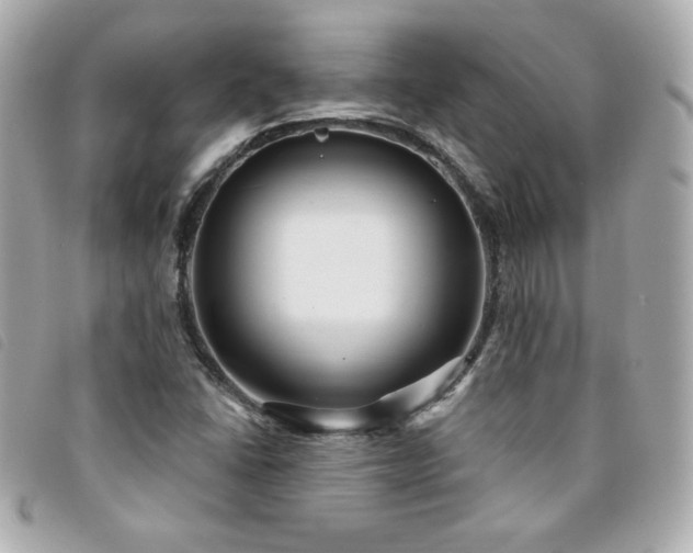 X0000094211406200710261201