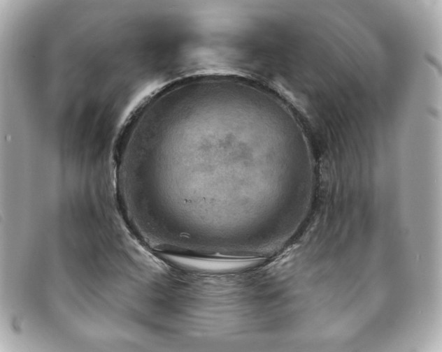 X0000094211408200710261201