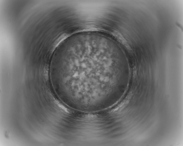 X0000094211409200710261201
