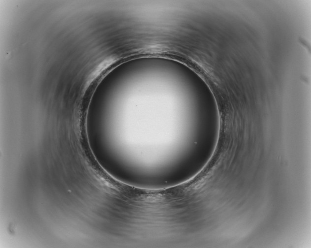X0000094211410200710261201