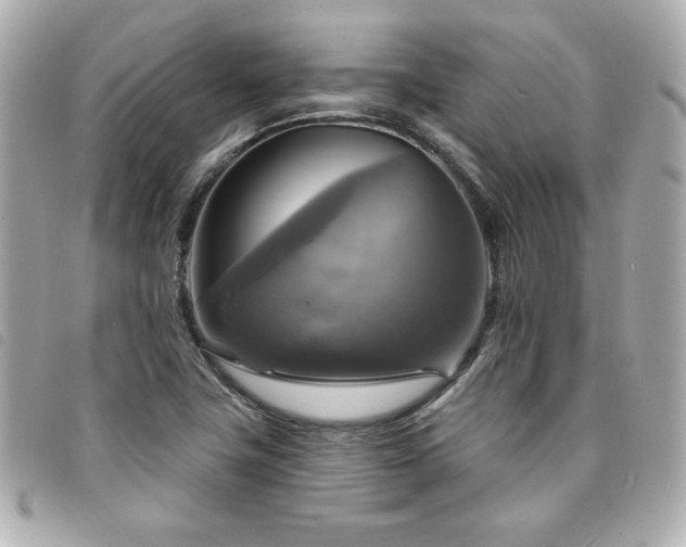 X0000094211411200710261202