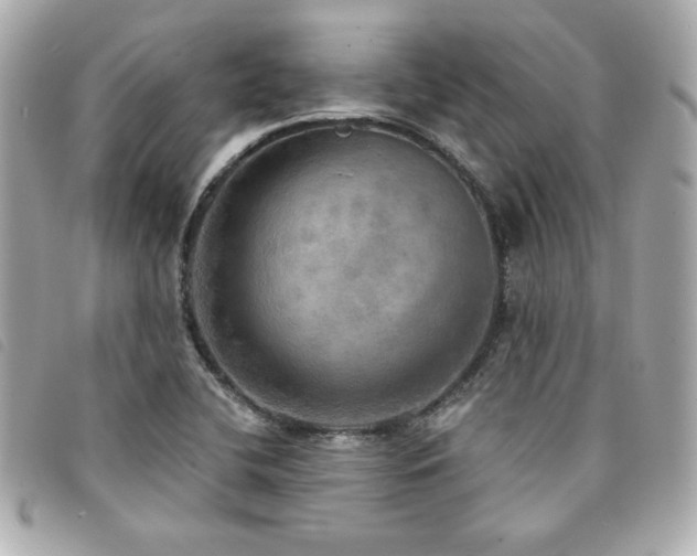 X0000094211412200710261202