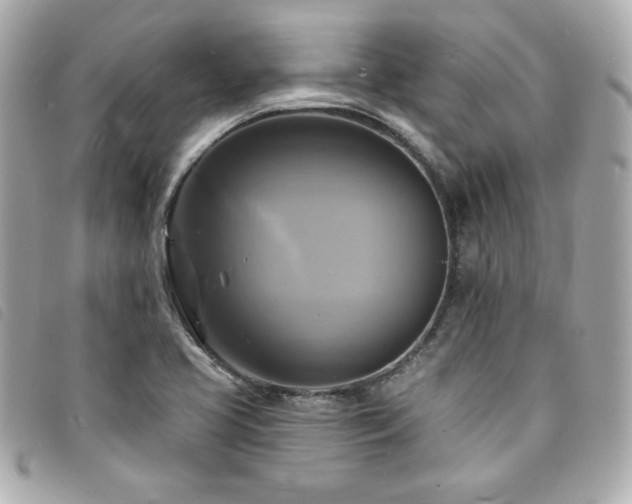 X0000094211413200710261202