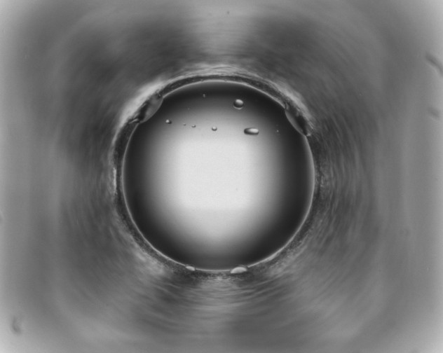 X0000094211414200710261202