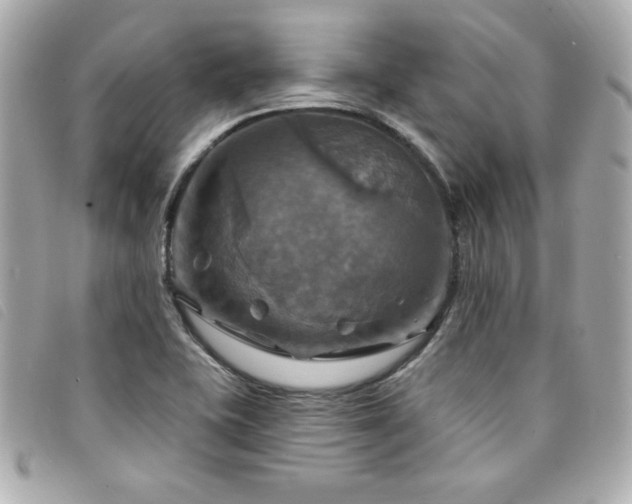 X0000094211415200710261202