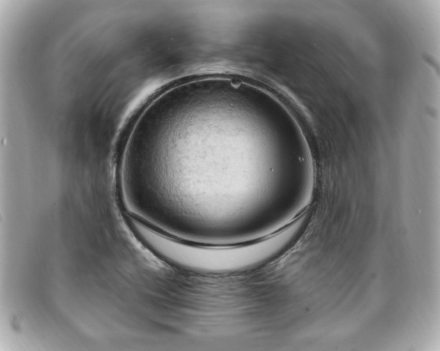 X0000094211416200710261202