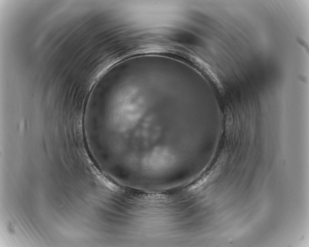 X0000094211417200710261202