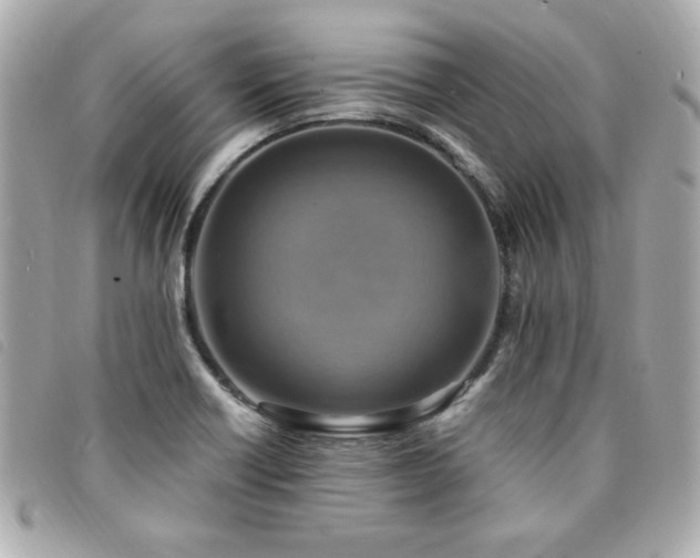 X0000094211418200710261202