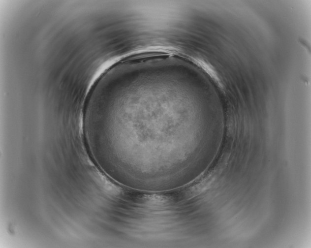 X0000094211420200710261202