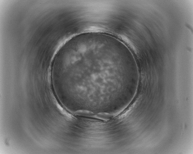 X0000094211421200710261202
