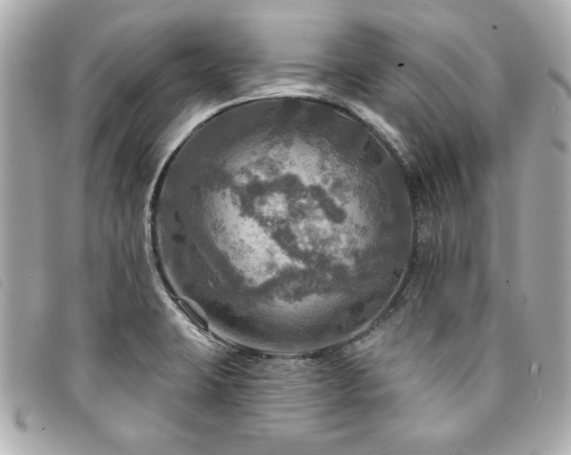 X0000094211423200710261202