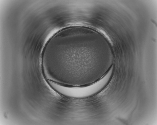X0000094211424200710261202