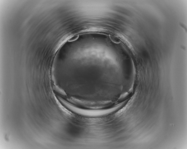 X0000094211425200710261202