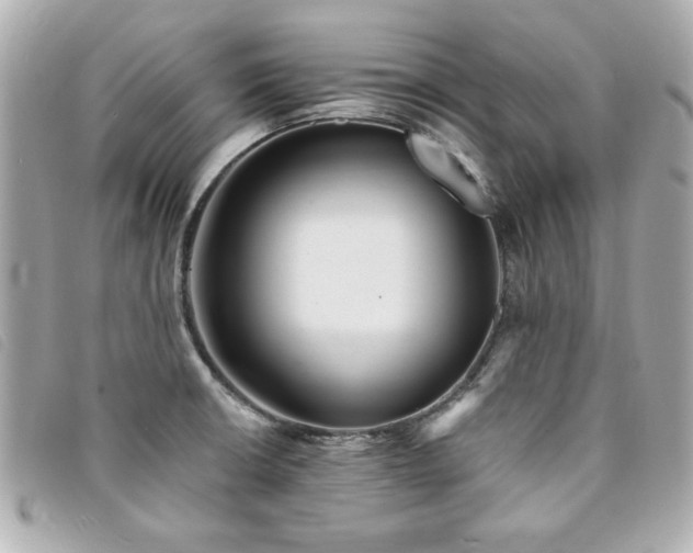 X0000094211426200710261202