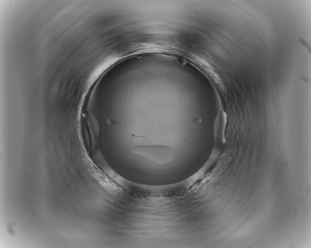 X0000094211427200710261202