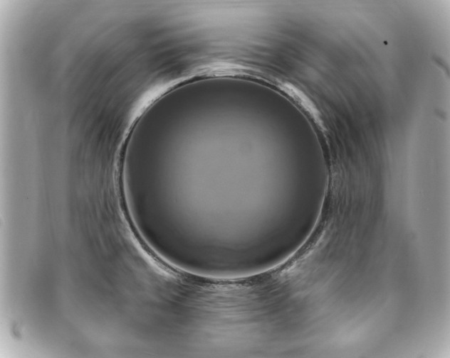 X0000094211429200710261202