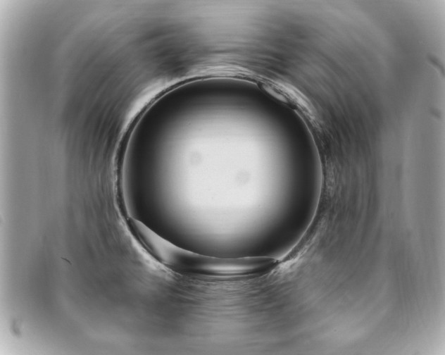 X0000094211430200710261202