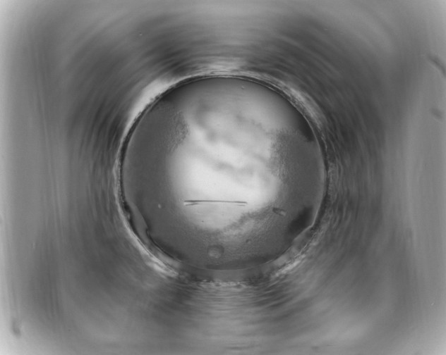 X0000094211432200710261202