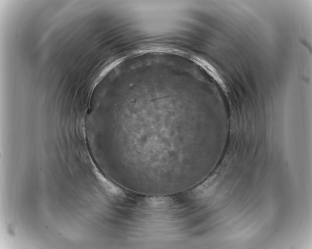 X0000094211433200710261202