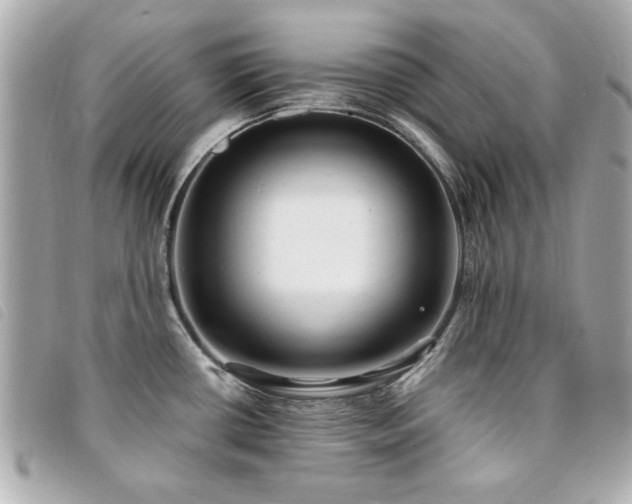 X0000094211434200710261202
