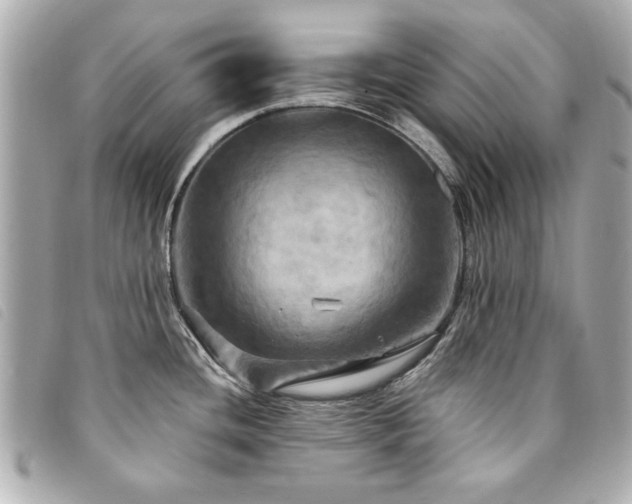 X0000094211436200710261202