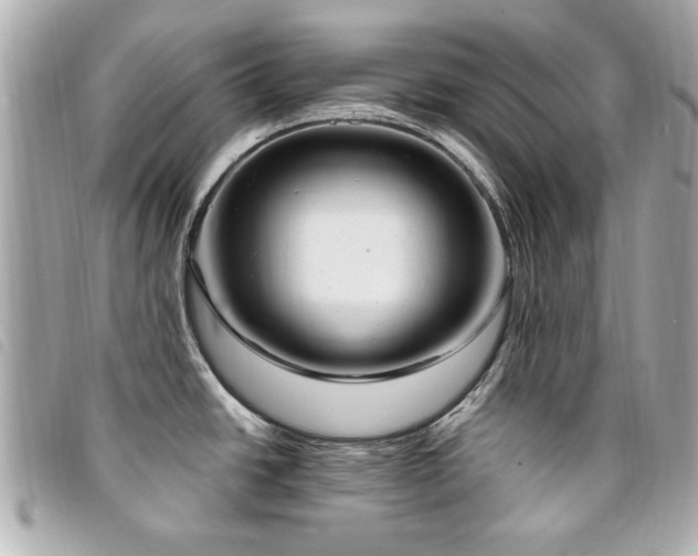 X0000094211438200710261202