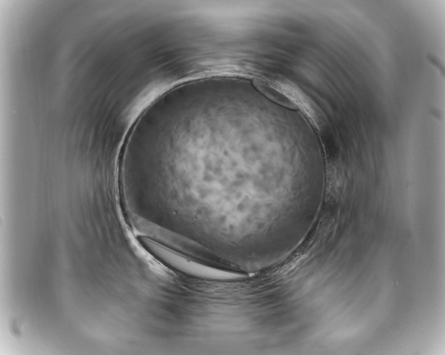 X0000094211439200710261202
