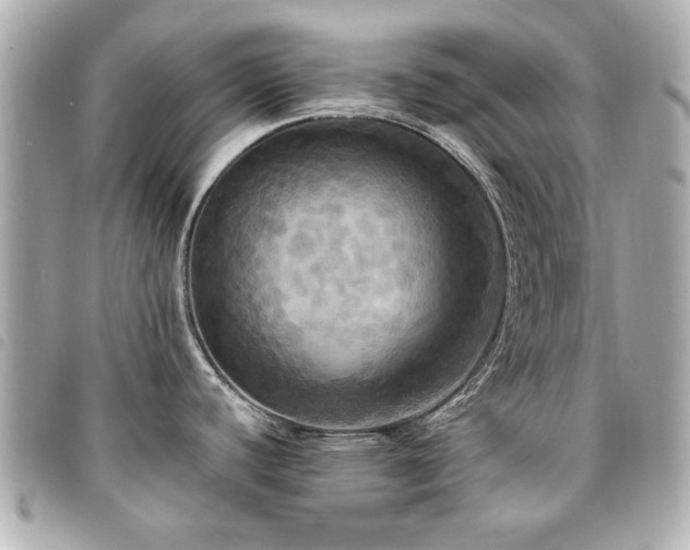 X0000094211440200710261202