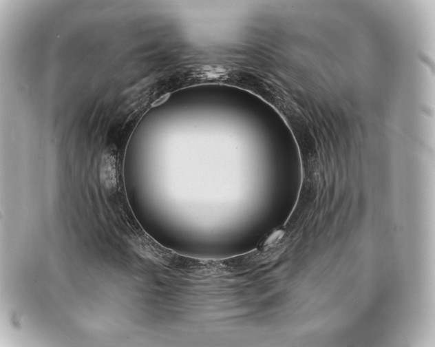X0000094211442200710261201