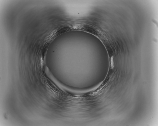 X0000094211443200710261201