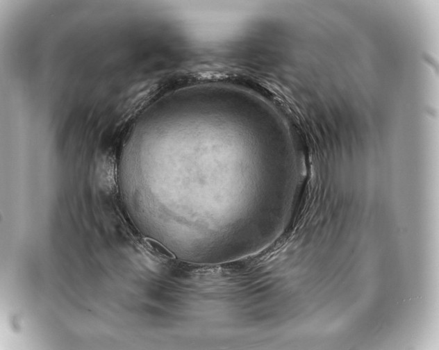 X0000094211444200710261201