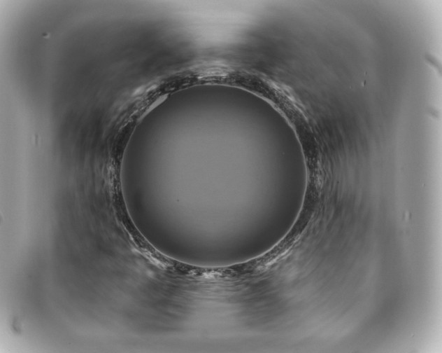 X0000094211445200710261201