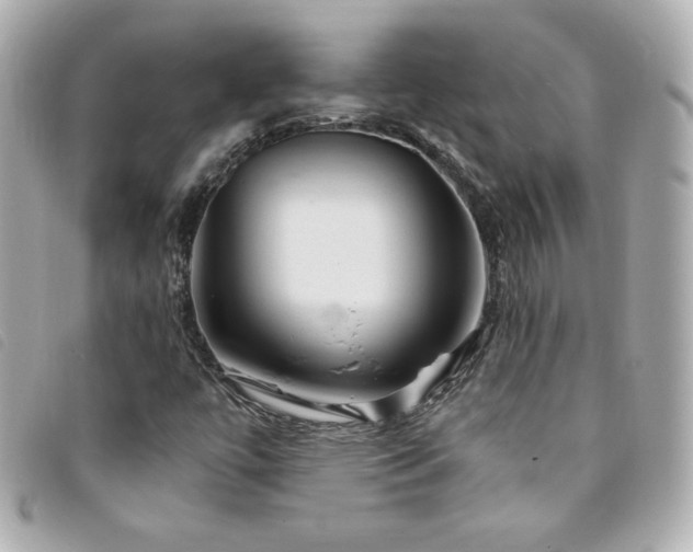 X0000094211447200710261201
