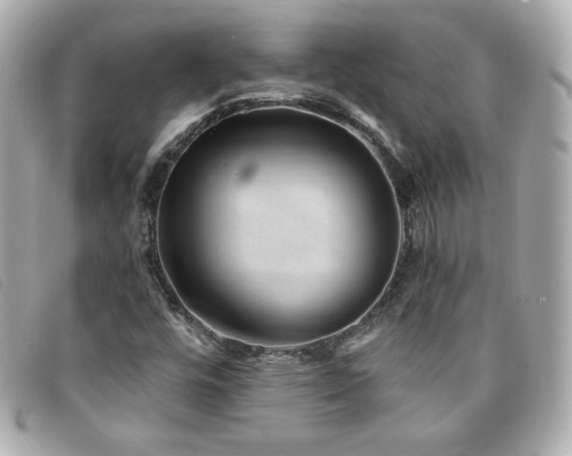 X0000094211448200710261201