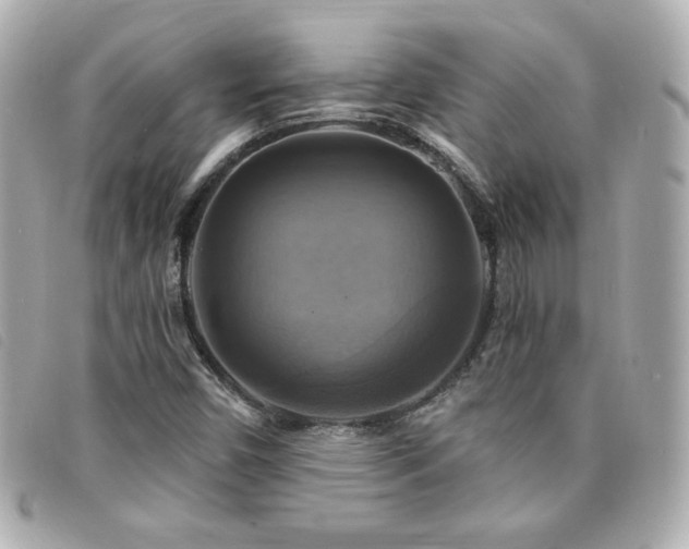 X0000094211450200710261201