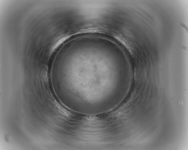 X0000094211452200710261201