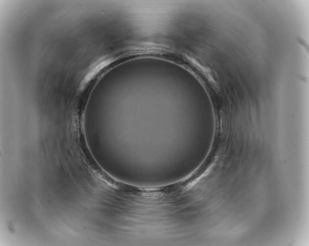 X0000094211453200710261201