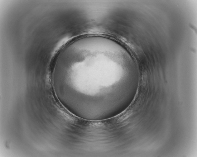 X0000094211454200710261201
