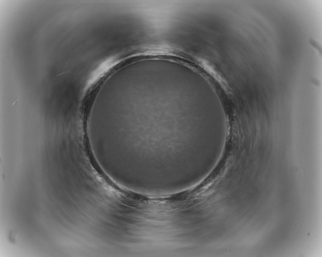 X0000094211456200710261201