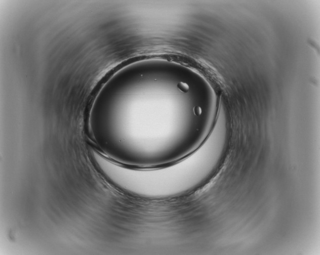 X0000094211457200710261201