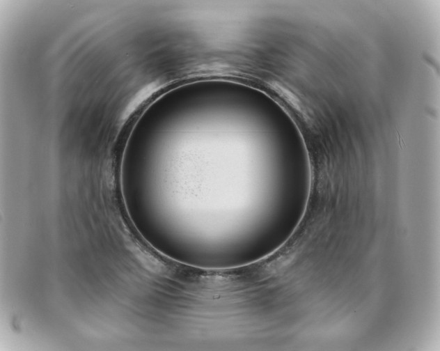 X0000094211458200710261201