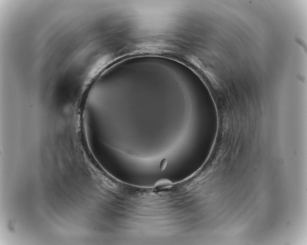 X0000094211459200710261201