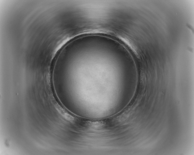 X0000094211460200710261201