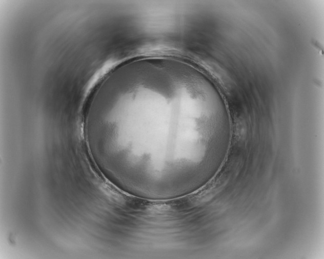 X0000094211462200710261201