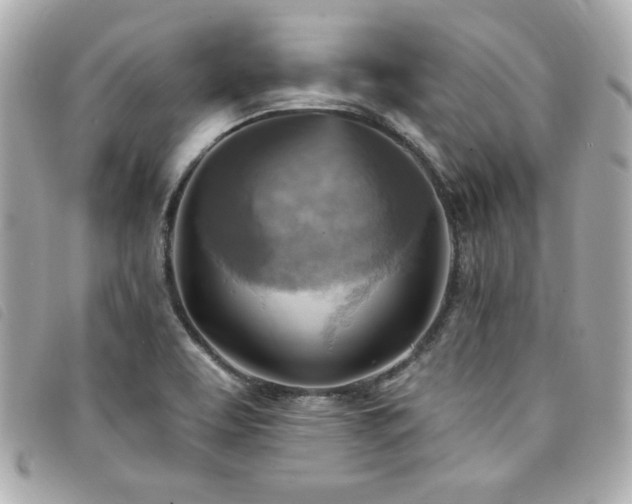 X0000094211463200710261201
