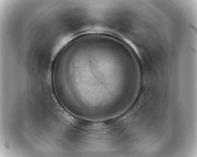 X0000094211464200710261201