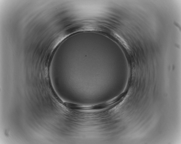 X0000094211465200710261201