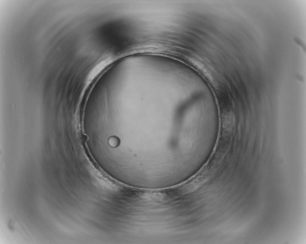 X0000094211466200710261201