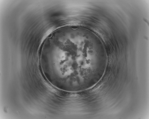 X0000094211467200710261201