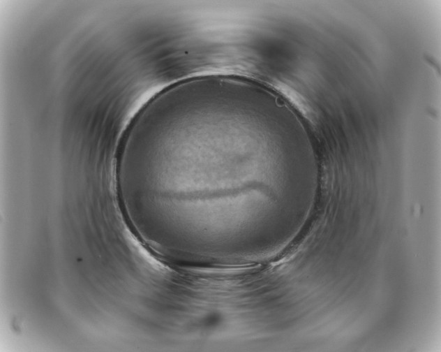 X0000094211468200710261201